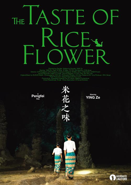 哪里能办理犹他州驾照